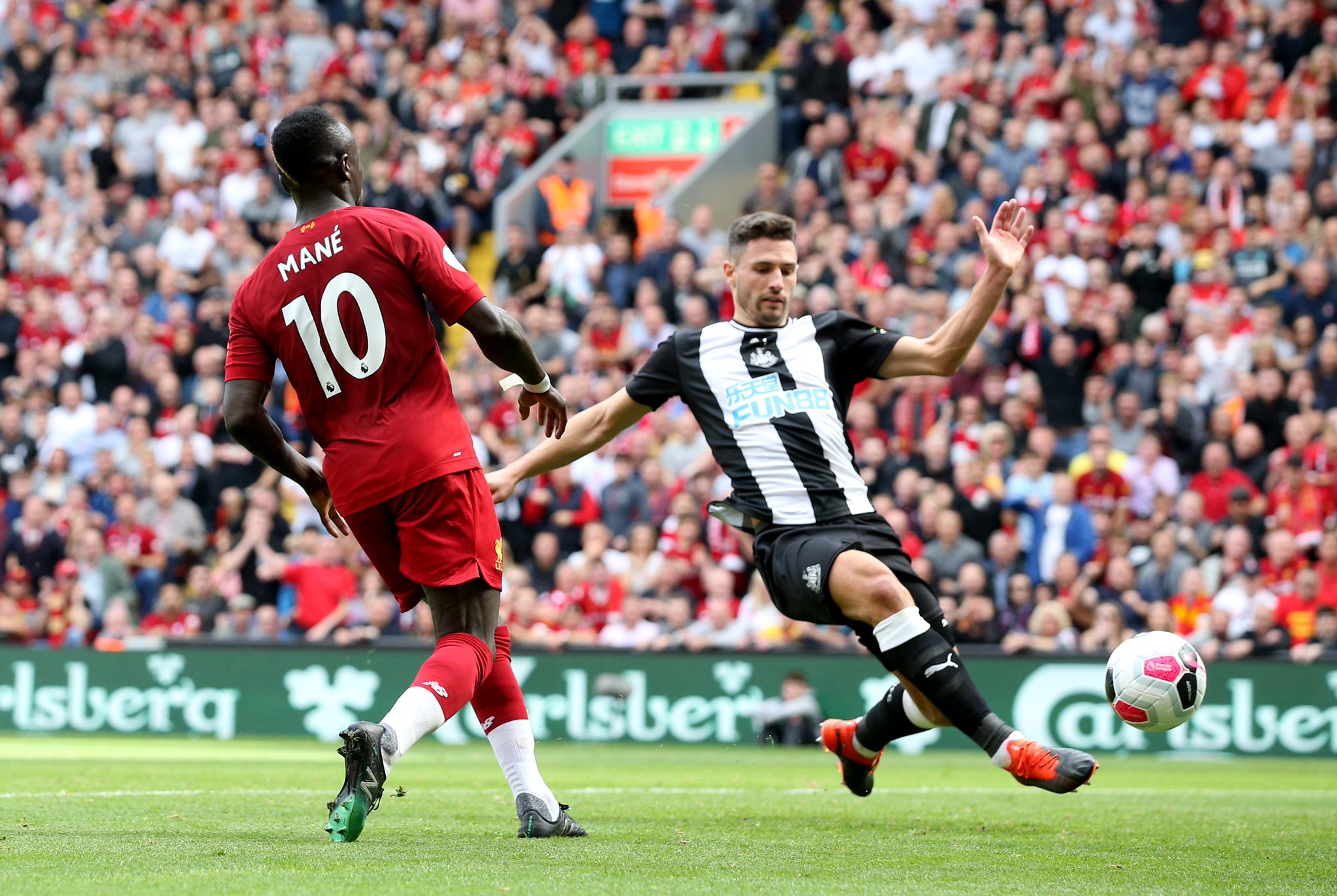 布兰特的多 布兰特的多