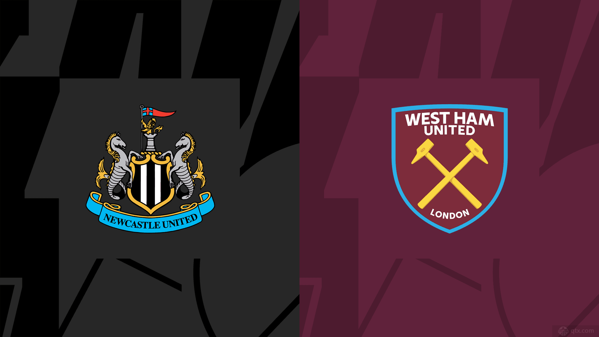 她们的表现 她们的表现