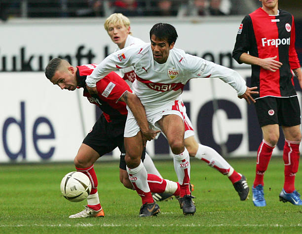 的表现至关 的表现至关