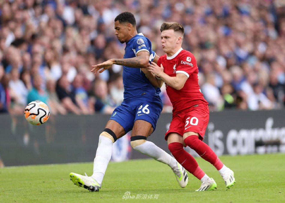 转会窗口的 转会窗口的